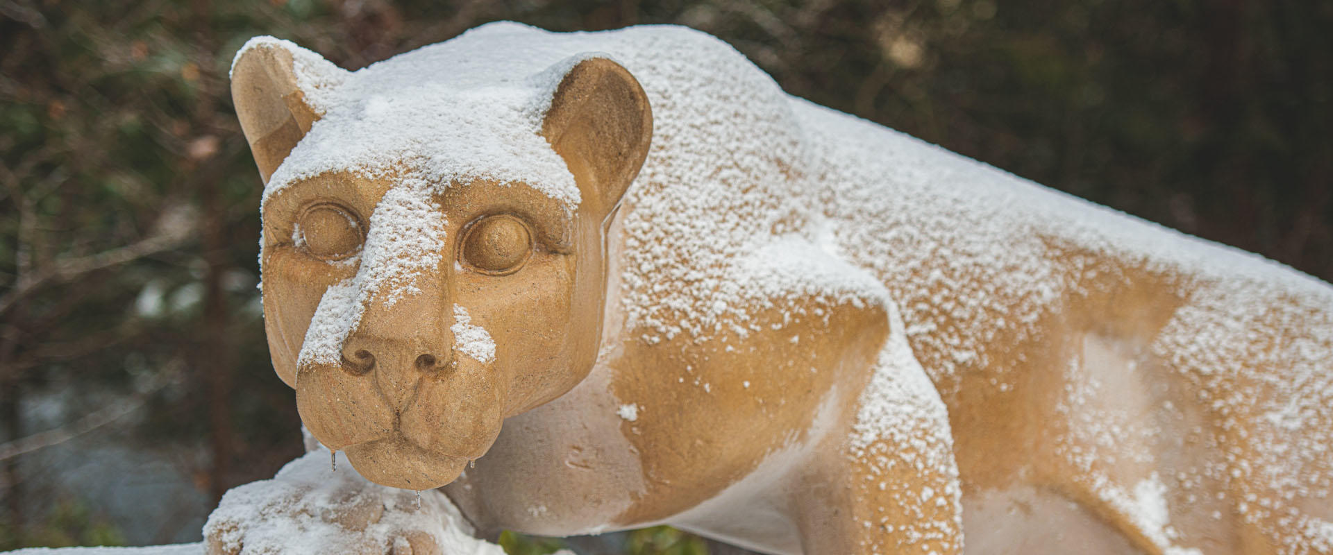 Nittany Lion Shrine dusted with snow